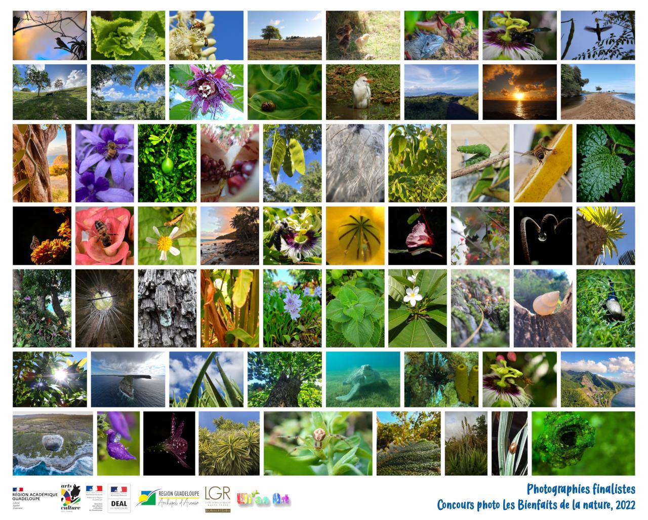 bienfaits de la nature 2022